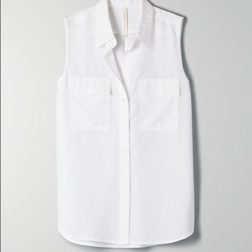 Babaton Aritzia sleeveless utility top